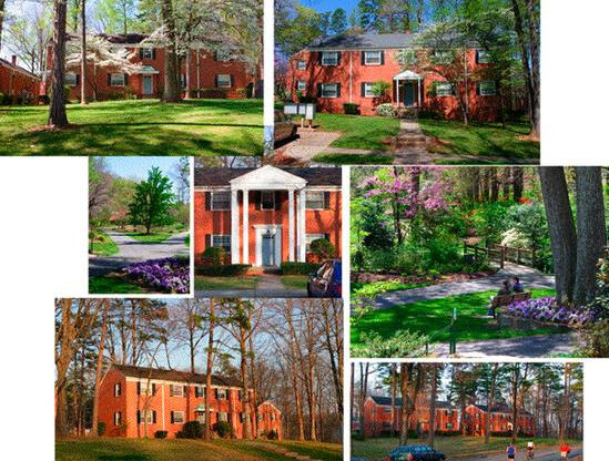 1 bed, 1 bath, 573 sqft, $850, Unit 3513B Pkwd