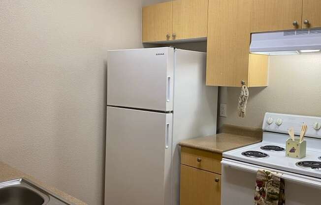 a kitchen with a stove refrigerator and a sink