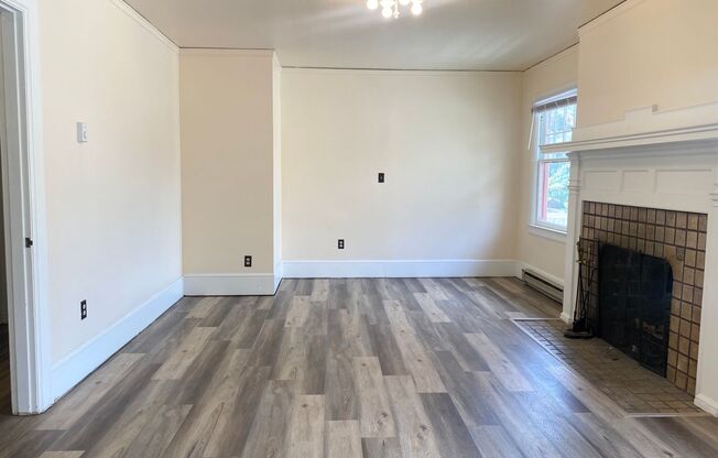 Villa Camini - Updated & Vintage In U-District!