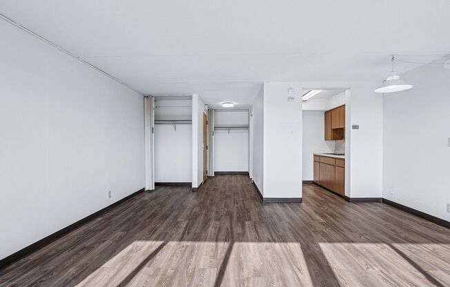 Studio, 1 bath, 462 sqft, $1,065, Unit 1808