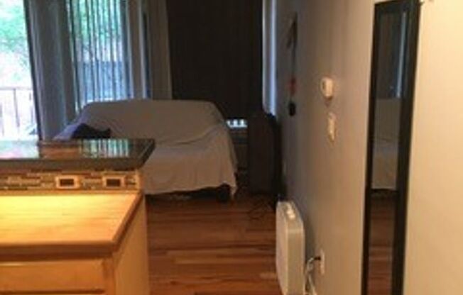 Studio, 1 bath, $1,750, Unit 15