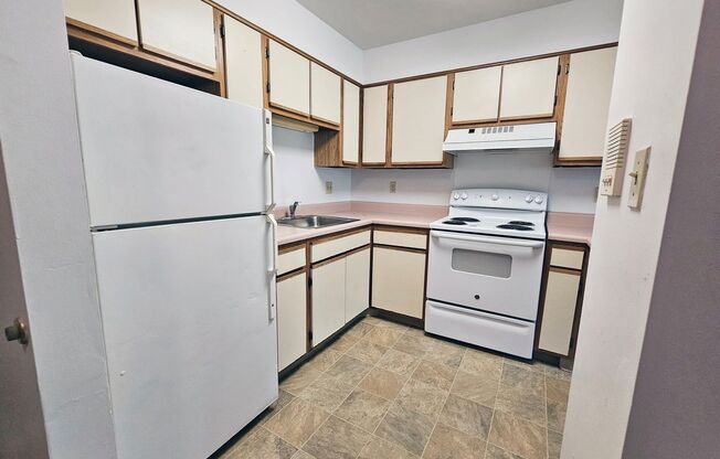 1 bed, 1 bath, 500 sqft, $869