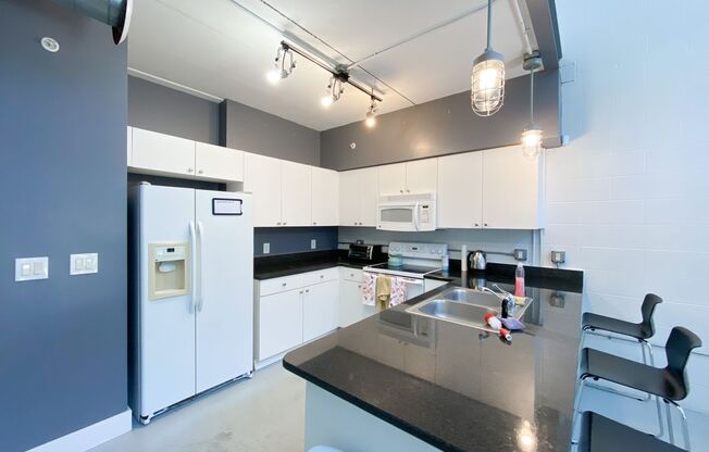 Lofts Oasis #107