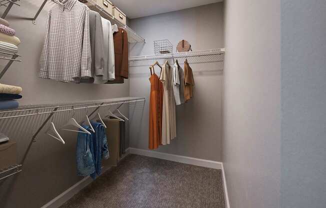 A walk in closet with clothes hanging on shelves.