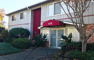 Juana Ave-475