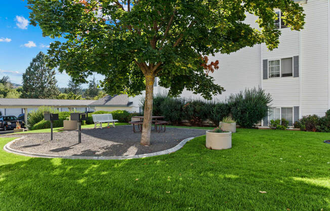 Farr Court Picnic Area and Green Grass