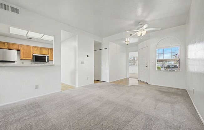 1 bed, 1 bath, $1,175, Unit Unit 1019
