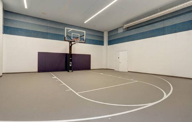 Indoor Basketball Court at TENmflats, Columbia, Maryland