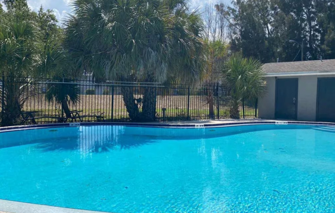 The Oasis