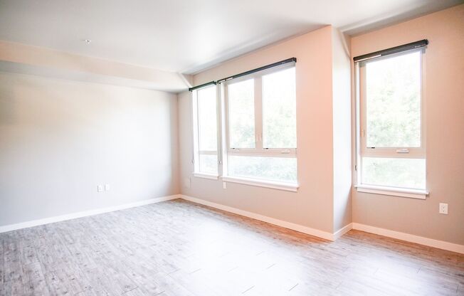 Studio, 1 bath, $1,275, Unit 202