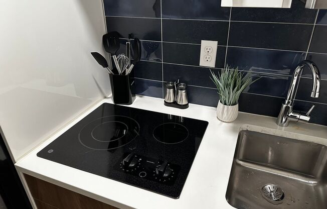 Studio, 1 bath, 244 sqft, $1,495, Unit 113 - Furnished