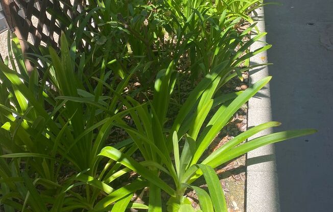 1353 - Spillman Property