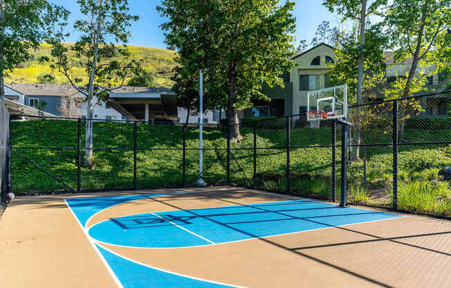 The Cascades Apartments basketball court