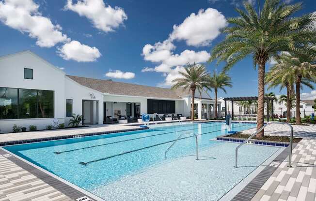 a swimming pool with palm trees at Odyssey, Florida