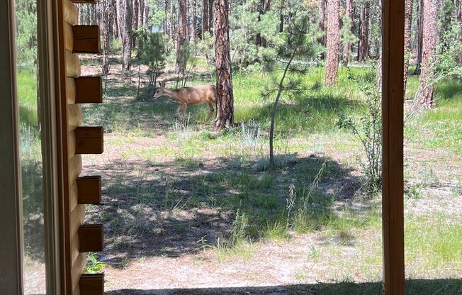 NEWLY REMODELED FARMHOUSE STYLE HOME ON THE 13TH HOLE OF THE WOODMOOR GOLF COURSE!!!!