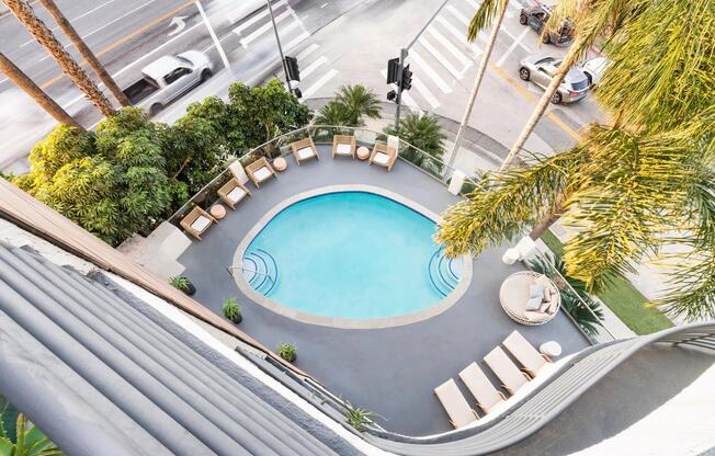 Resort-style pool deck with lounge seating and palm-lined views above the Sherman Oaks neighborhood.