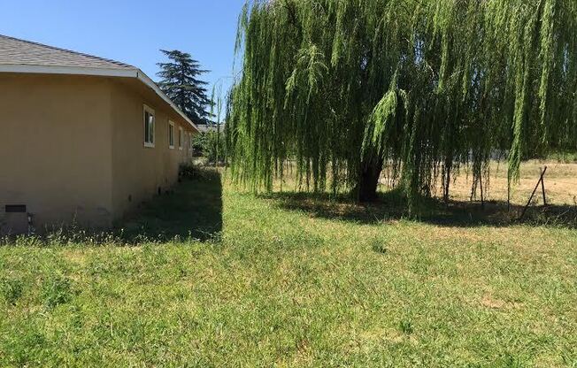 Large 4 bedroom 2 bath home in Los Molinos