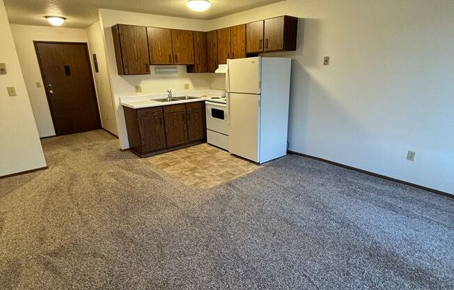 Studio, 1 bath, 360 sqft, $600, Unit 34