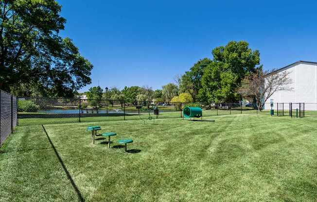 A sunny day at the park with green grass and picnic tables.