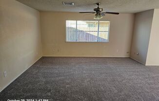 2 beds, 1 bath, $1,295