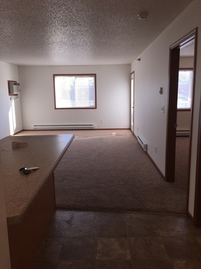 3 beds, 2 baths, 1,232 sqft, $1,425, Unit 413