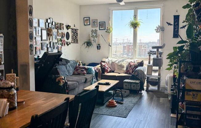 2559 Amber - Residential
