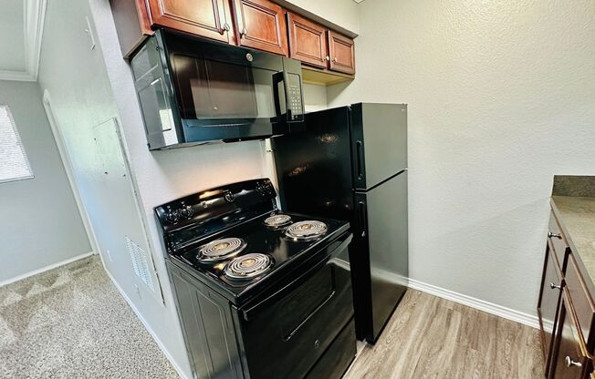 Studio, 1 bath, 500 sqft, $750, Unit 208