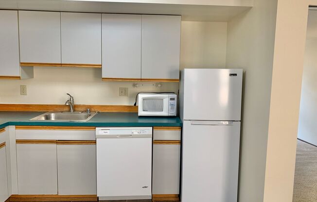 Studio, 1 bath, 460 sqft, $1,295, Unit 305