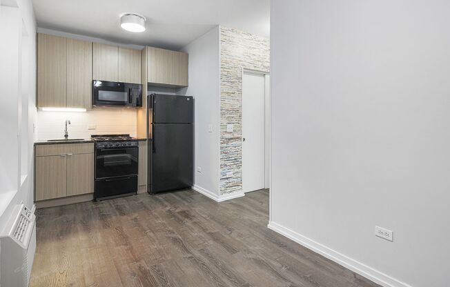 Studio, 1 bath, 201 sqft, $1,250, Unit 213