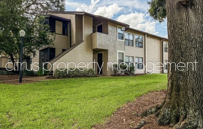 Winter Park 2/2 Condo in Charming Parkview Village