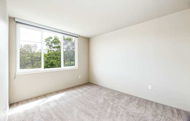 A room with a carpeted floor and a window overlooking trees.