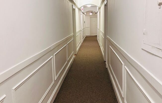 Studio, 1 bath, 241 sqft, $1,230, Unit 811