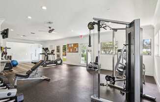 A gym with a variety of equipment including a weight bench, a treadmill, and a squat rack.