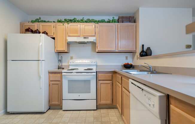 camden place apartments kitchen