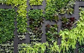 Green Space at Sono Central Residential, Norwalk, CT, 06854