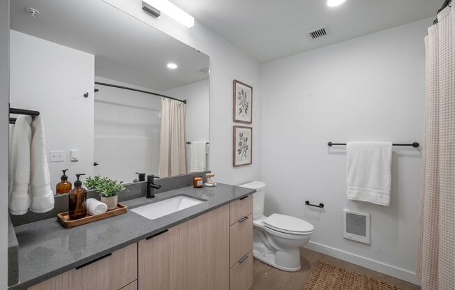 1 bed, 1 bath, 421 sqft, $1,795, Unit 409