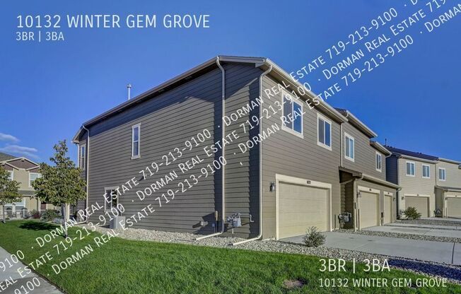 10132 WINTER GEM GRV