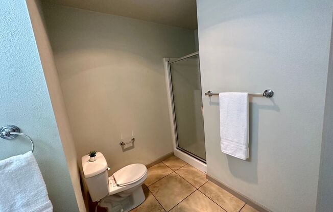 Studio, 1 bath, 430 sqft, $1,599, Unit Unit 302