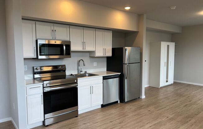 Studio, 1 bath, 474 sqft, $1,395, Unit 204