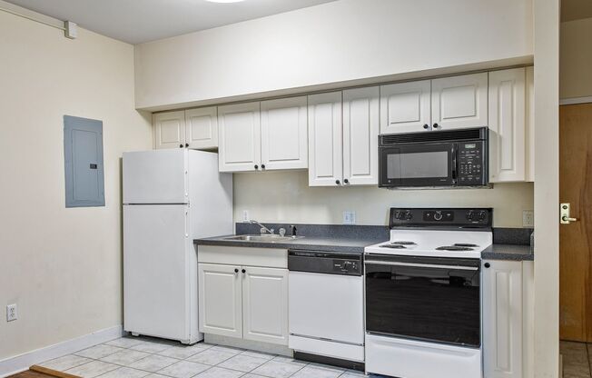 1 bed, 1 bath, 512 sqft, $1,250, Unit APT 303