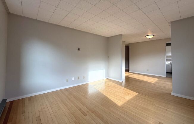 1 bed, 1 bath, 540 sqft, $1,595, Unit 418