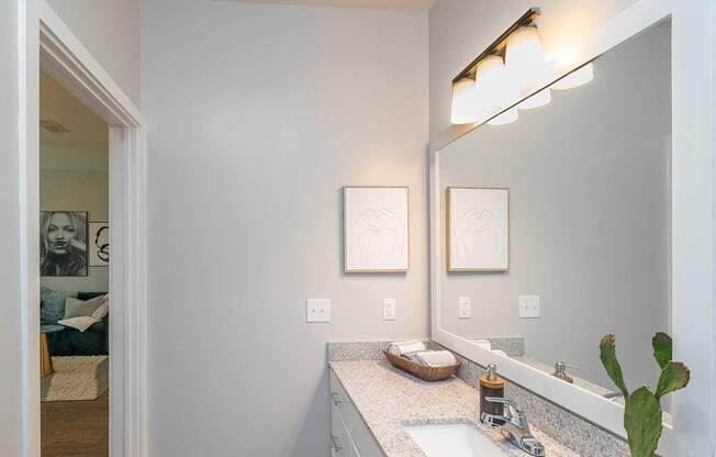 A bathroom with a sink, mirror, and a cactus.