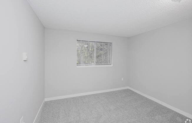 A room with a window and carpeted floor.