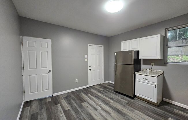 Newly updated 1 bedroom 1 bath apartment for rent!