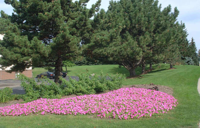 Beautiful Grounds