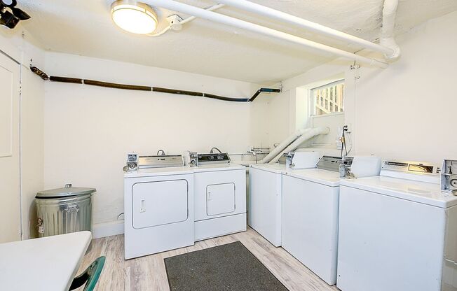 Studio, 1 bath, 334 sqft, $1,250, Unit 407