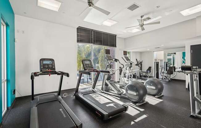 A fitness center with treadmills, elliptical machines, and other exercise equipment.