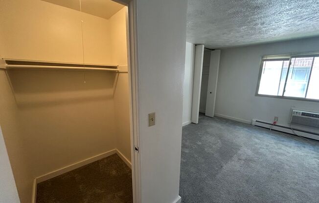 Studio, 1 bath, $795, Unit 217