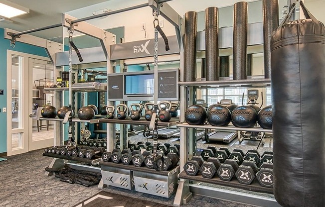 Fitness Center With Modern Equipment at Sapphire at Centerpointe, Midlothian, VA, 23114