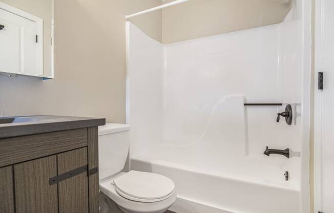 a bathroom with a toilet and a tub and a sink